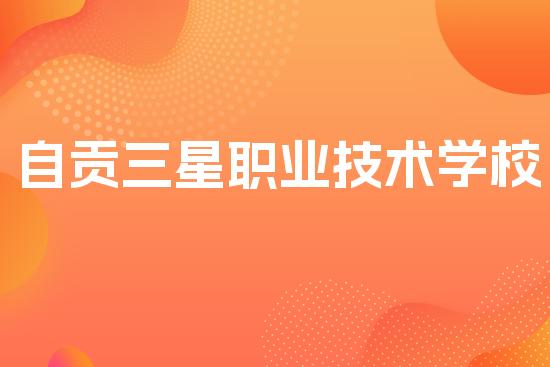 自贡三星职业技术学校