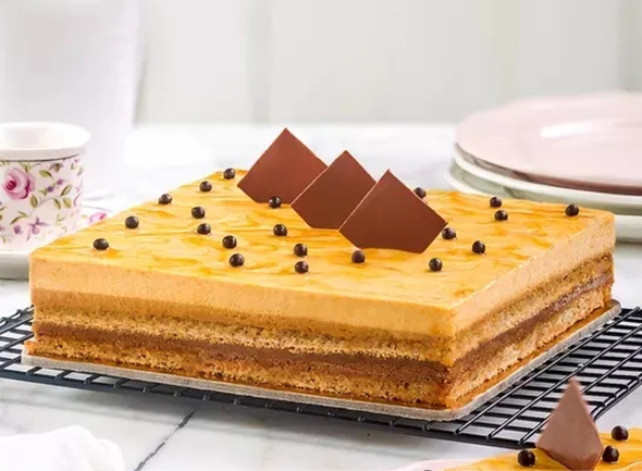 ѧƷ