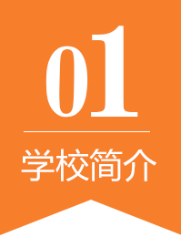 ѧУ